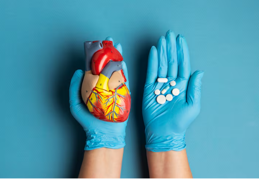 Why Heart Wellness Is Key to a Strong and Active Body